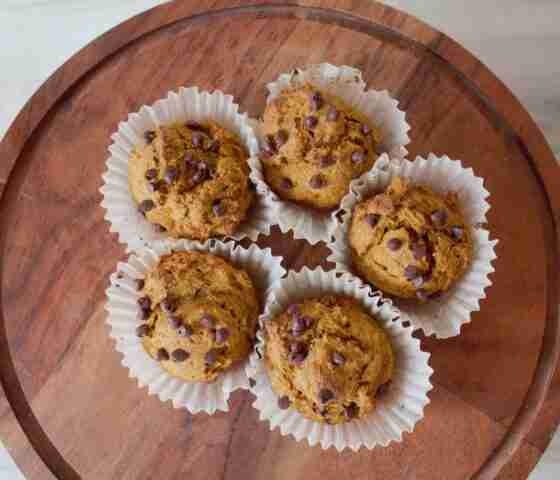 gluten-free pumpkin chocolate chip muffins