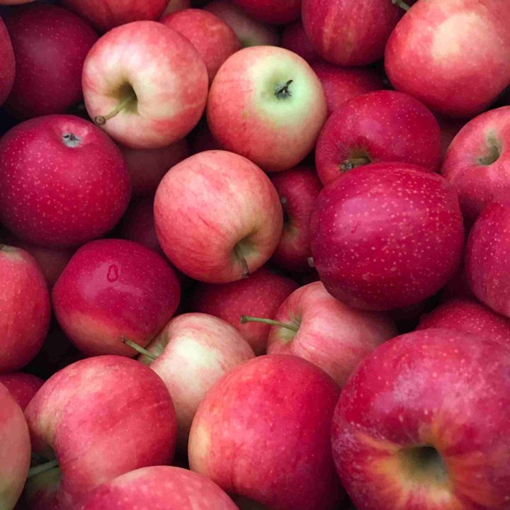 background of fresh apples for homemade applesauce